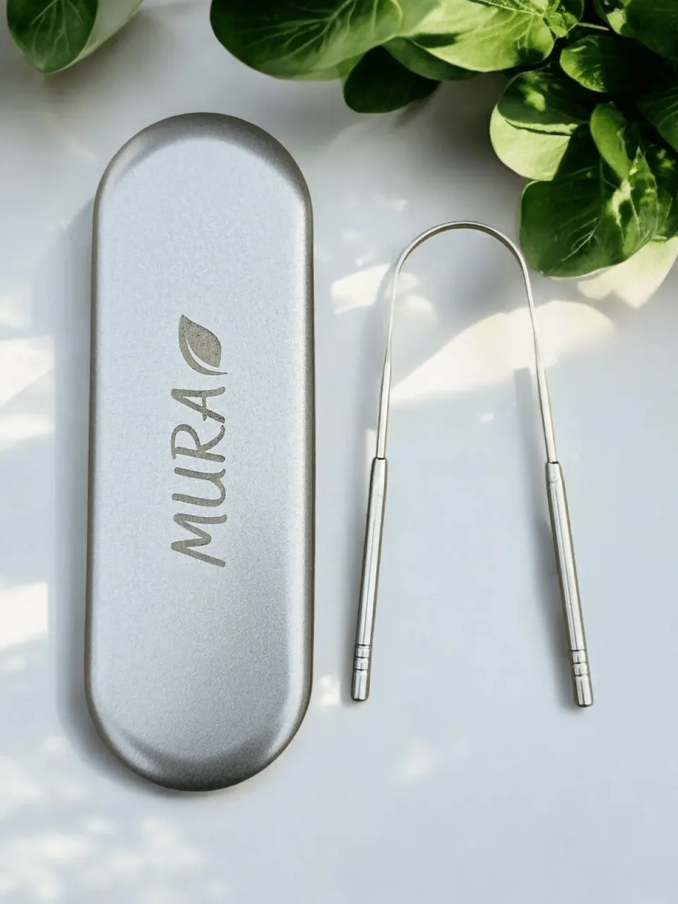 | مورا قاشطة اللسان مع علبة معدنية