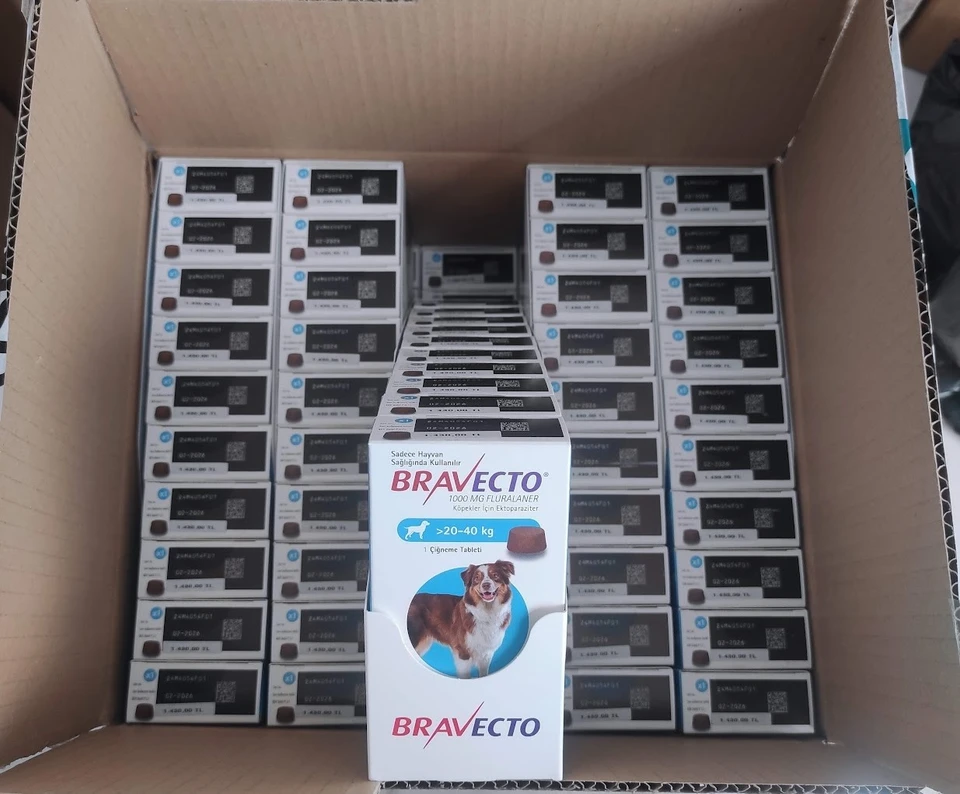 Bravecto chewable tablets for dogs 500 mg (> 10 -20 kg).