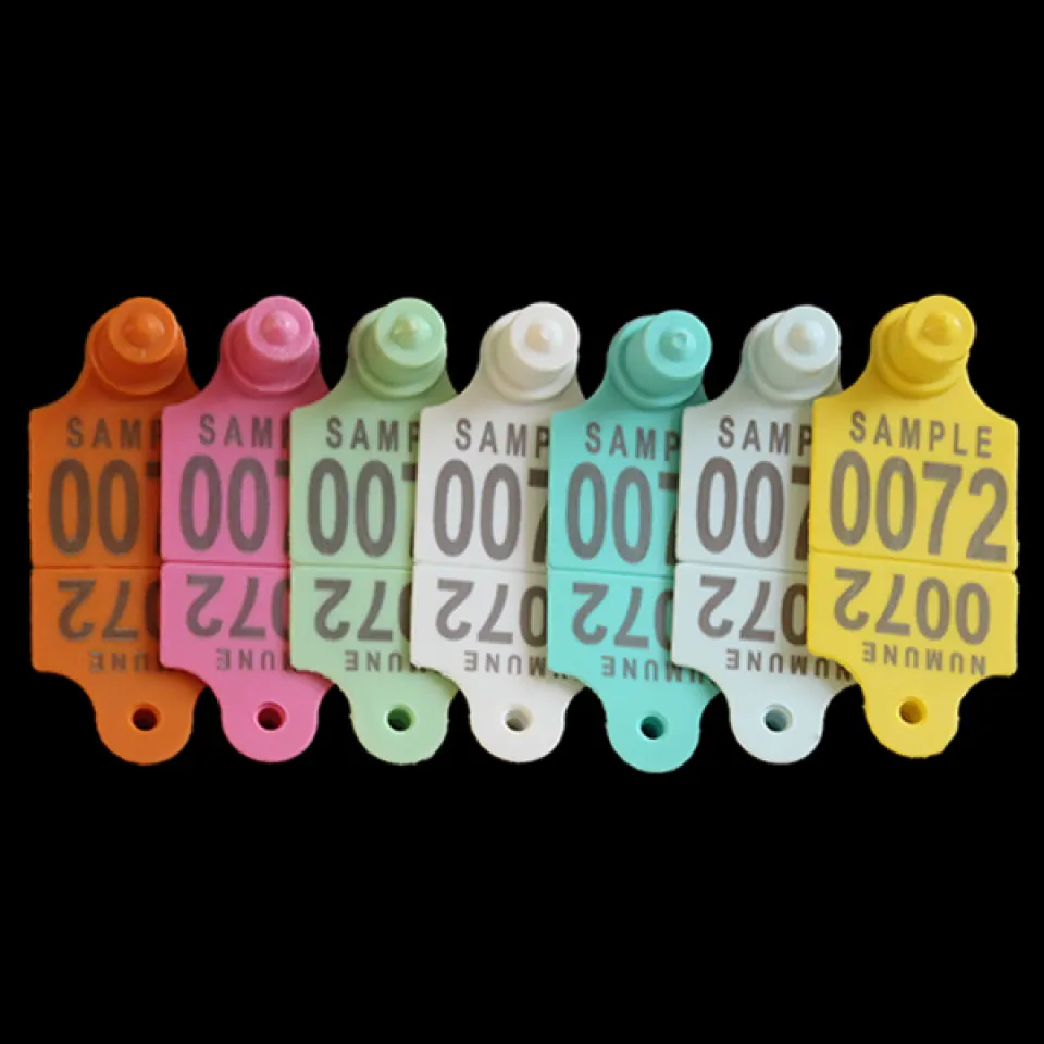 ارقام بطاقات الاذن مربع للاغنام   45mm x 35mm - وجهين