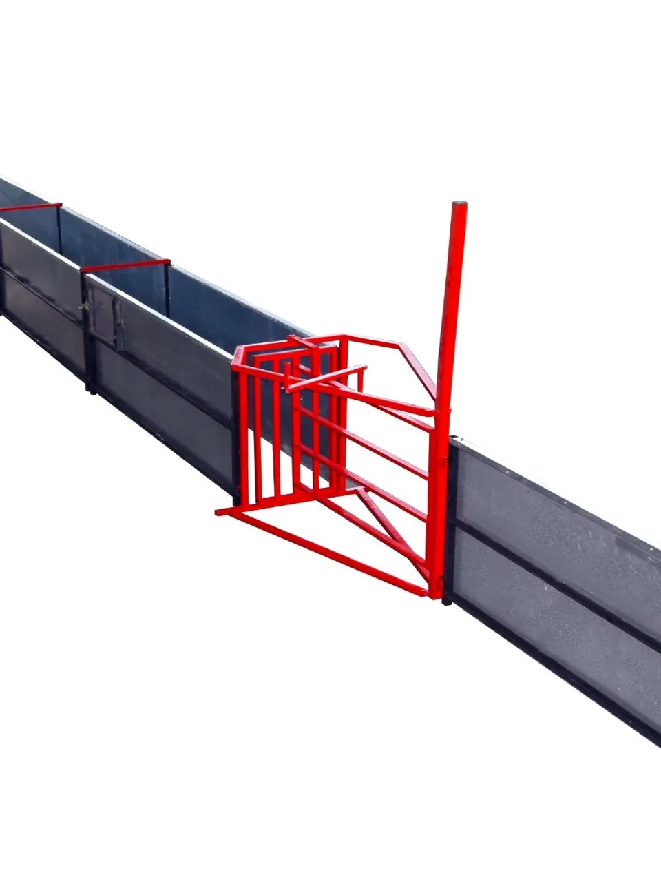 Herd Vaccination Path