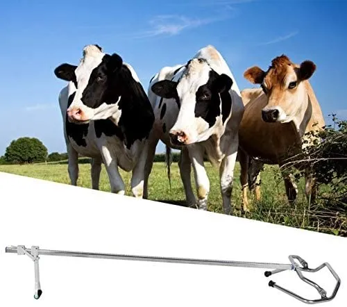 كريكو التوليد 