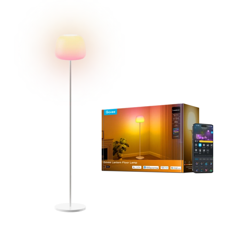 Govee Lanern Floor Lamp