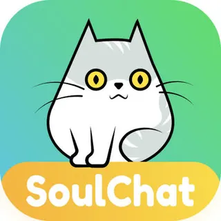 Soul chat