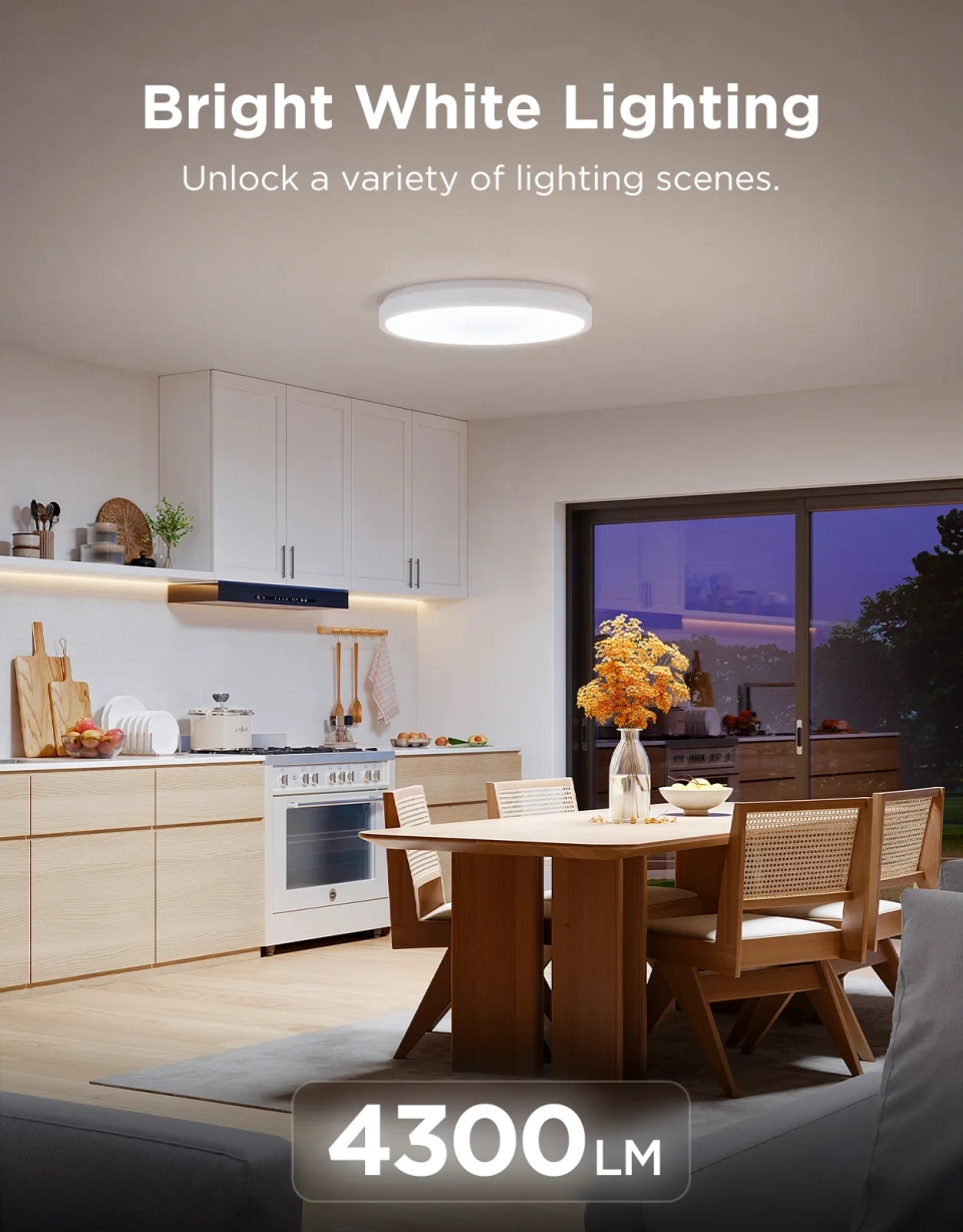 Govee 38cm RGBICWW Smart Ceiling Light Pro 