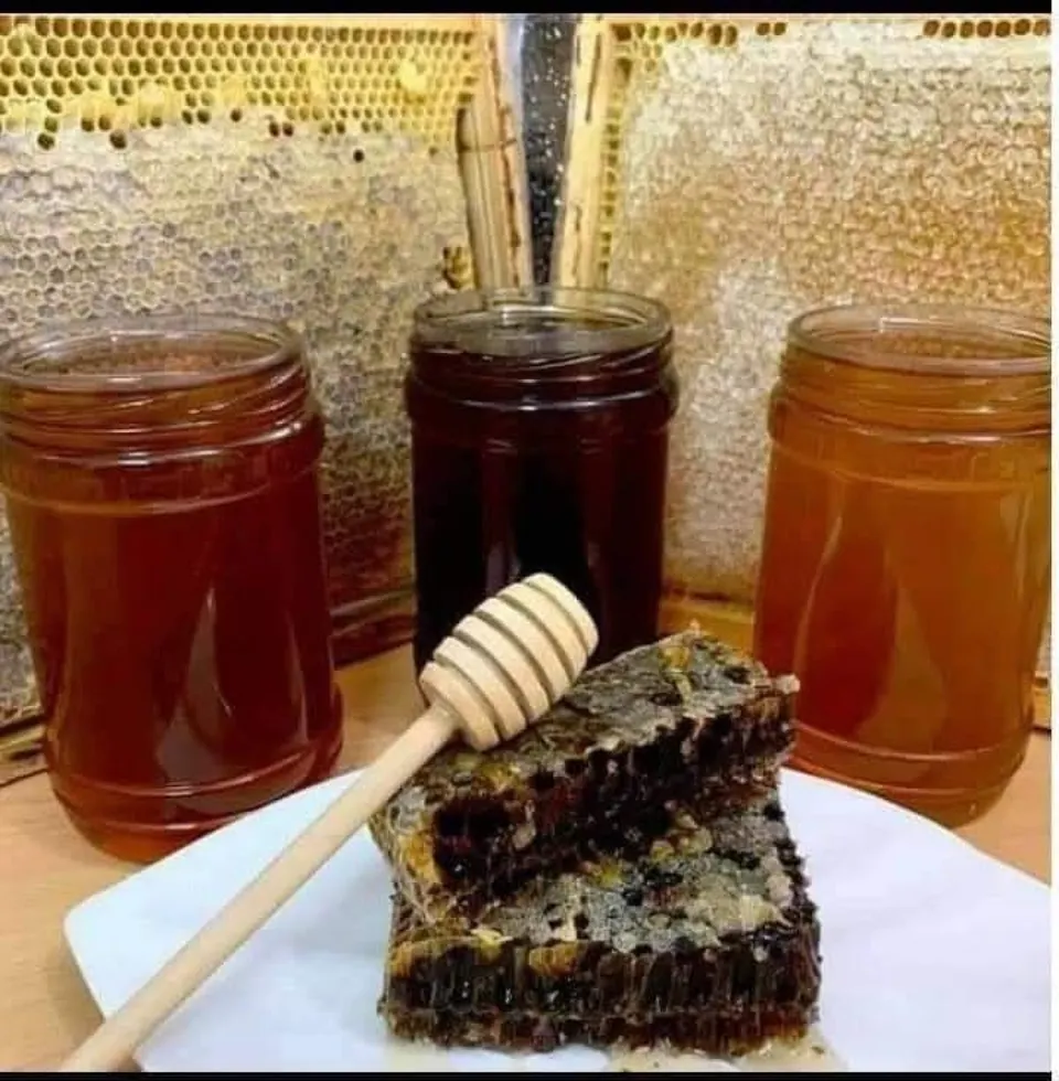 بكج عسل السدر الأسود