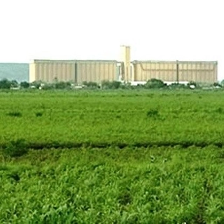Gadarif 