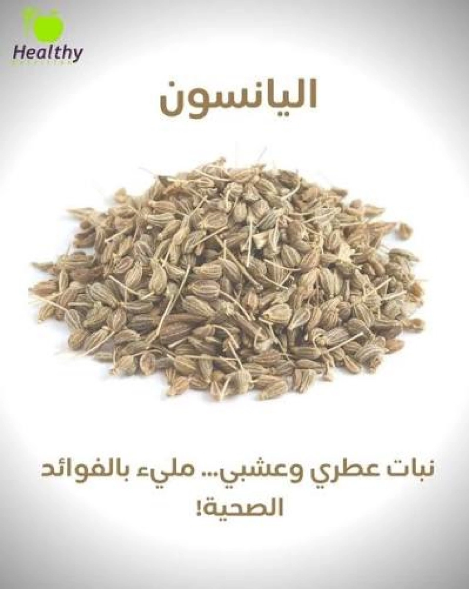 ينسون سائب 1ك 