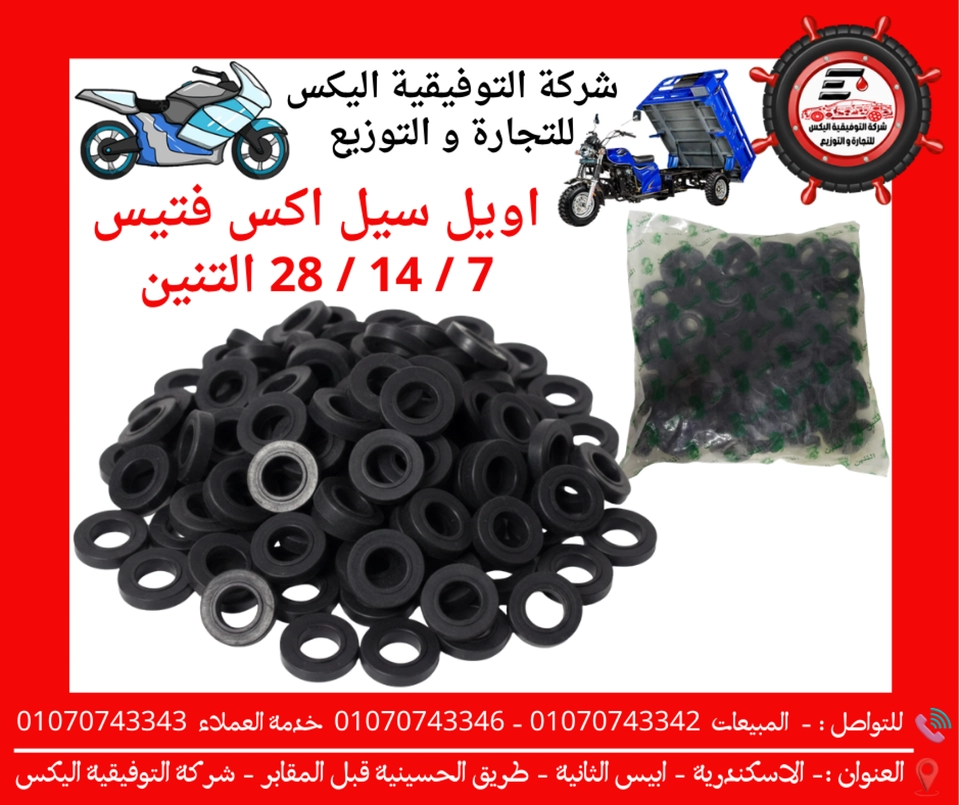 اويل سيل اكس فتيس 7 / 14 / 28 التنين