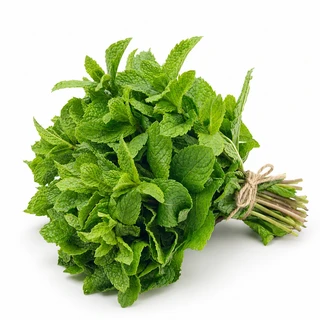 نعناع طازج، ربطة