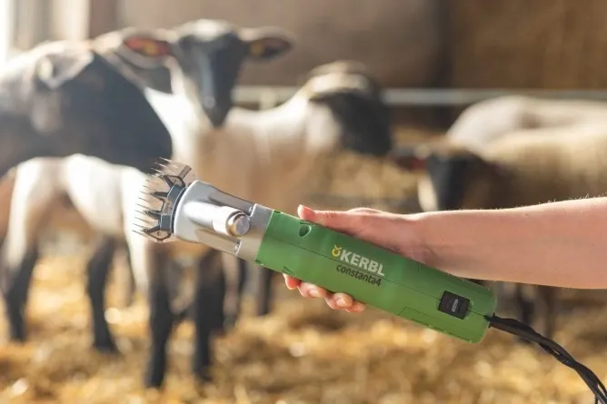 ماكينة قص الأغنام كونستانتا 4 للأغنام والماعز