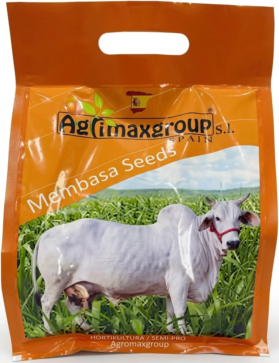 بذور العلف الأخضر المتميزة (Mombasa Seeds)،
