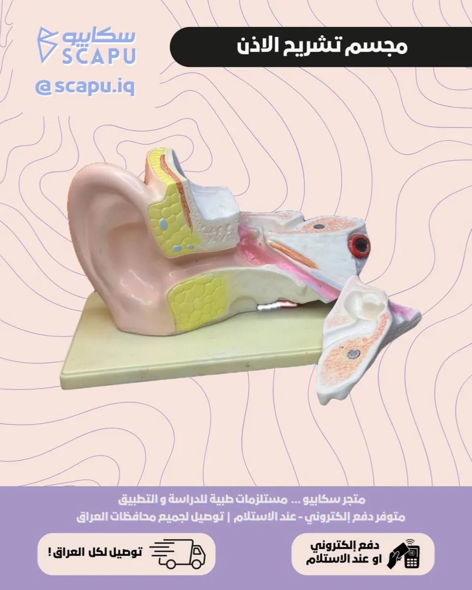 full ear
