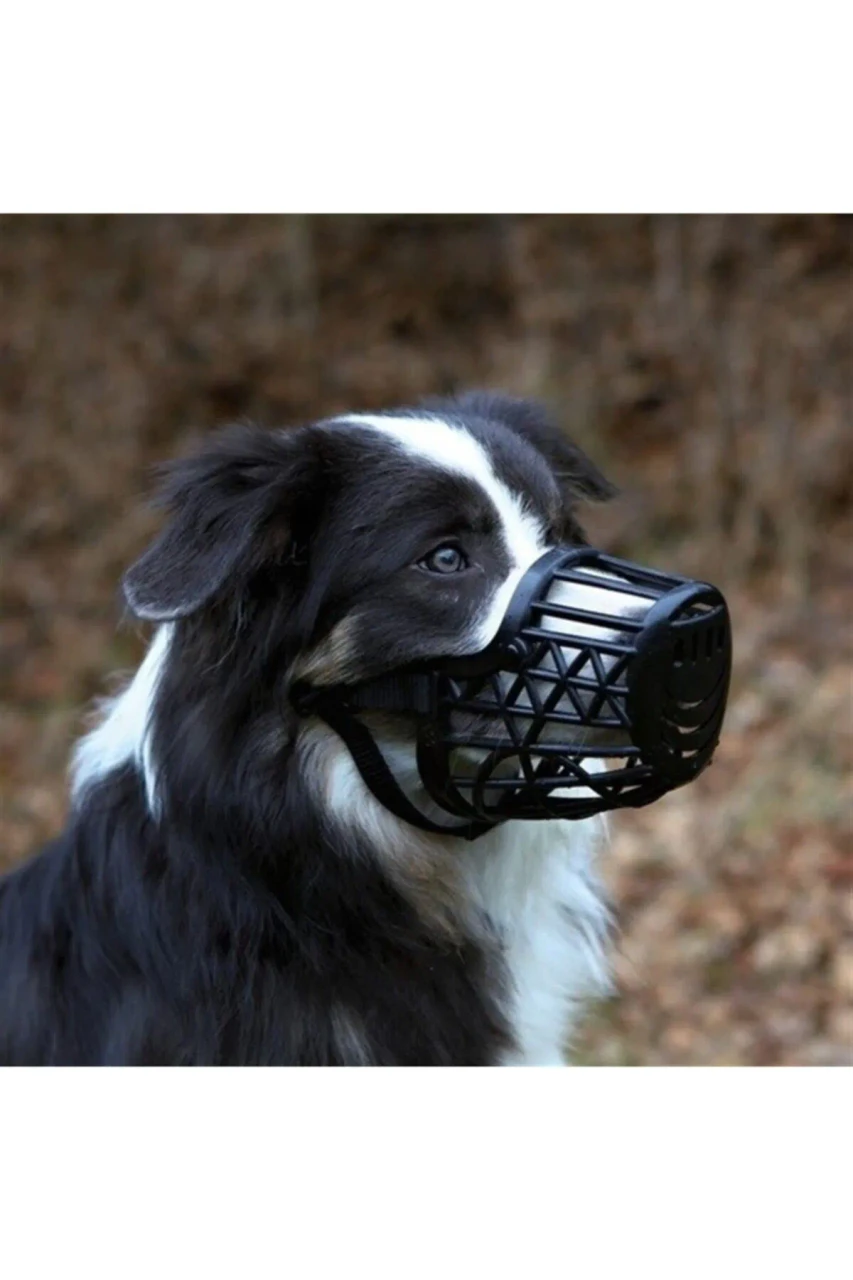 Dog Plastic Mouthpiece ، Xl