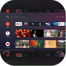 اشتراك سنة مستخدم 1