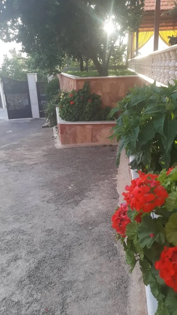 مزرعةطلعة قوس مضايا