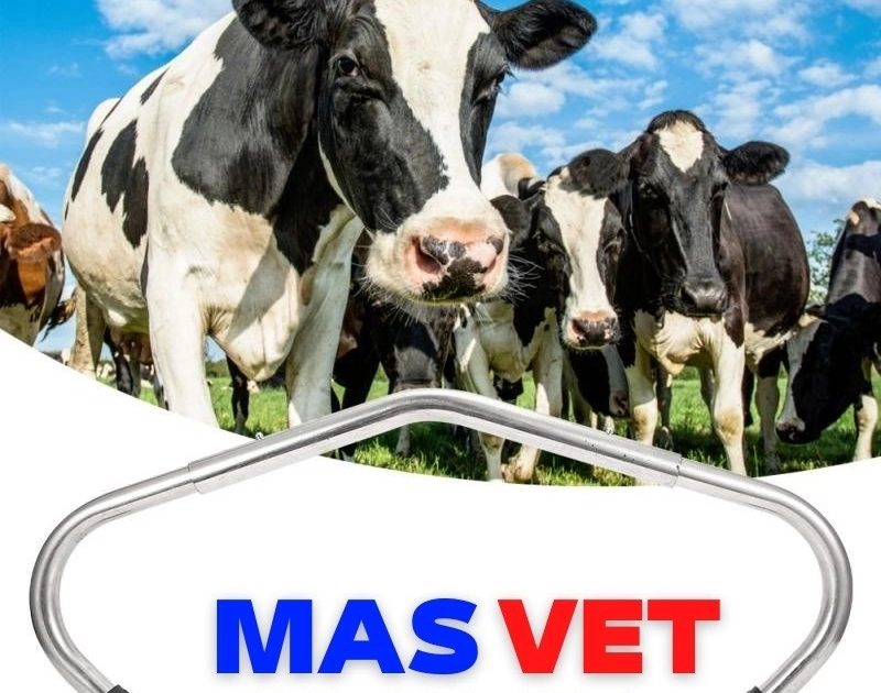 مانع رفس وجهاز تثبيت الأبقار | Mas Vet