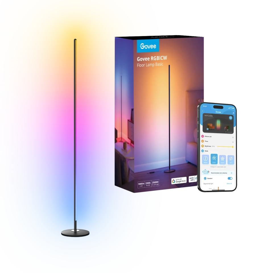 Govee Floor Lamp Basic