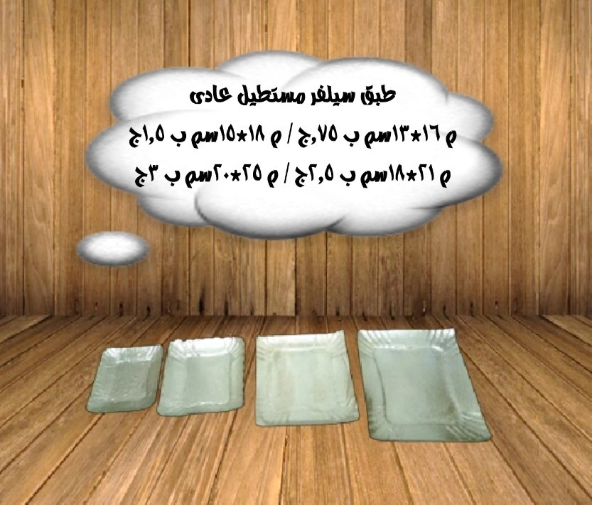 اطباق شرقى سيلفر مستطيل  مقاسات مختلفة 