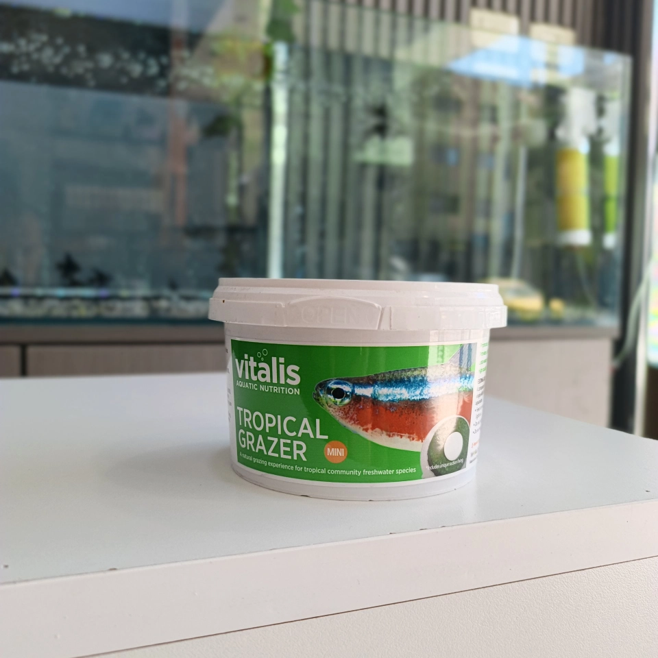  طعام مخصص لأسماك الزينة النواعم 