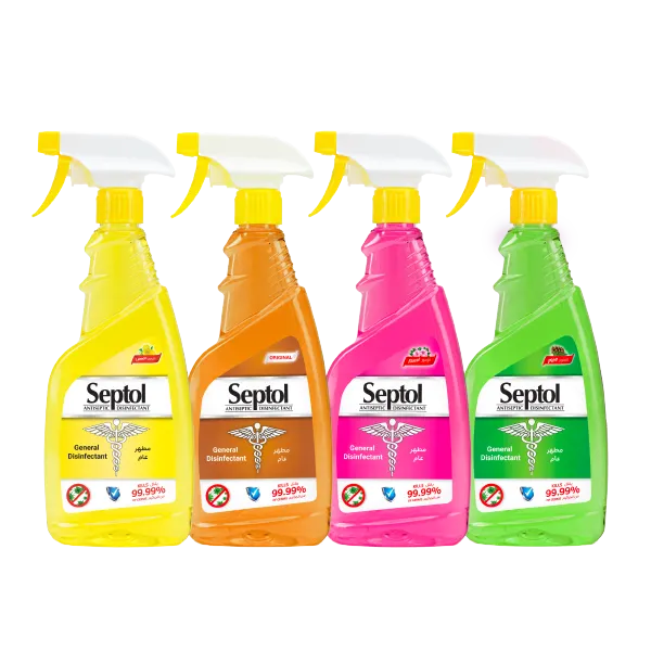 سيبتول مطهر عام