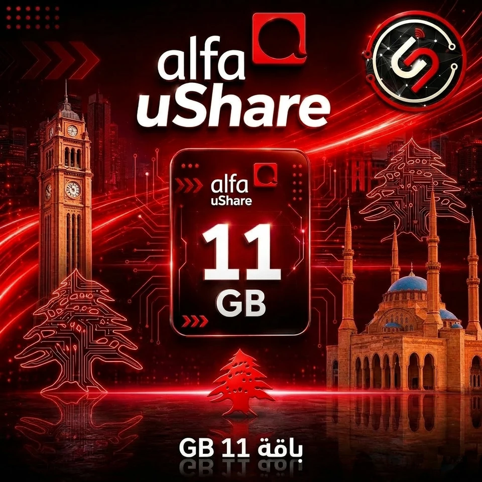 11 GB Quota