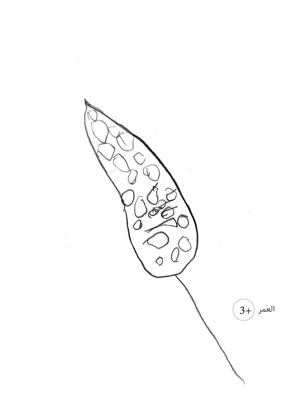 قصة عن س و ل