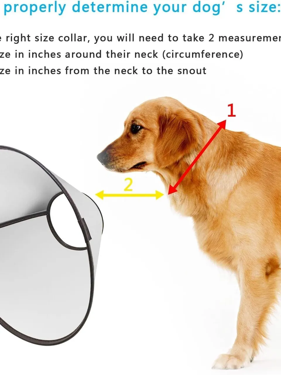 طوق الحماية الطبي للحيوانات الأليفة