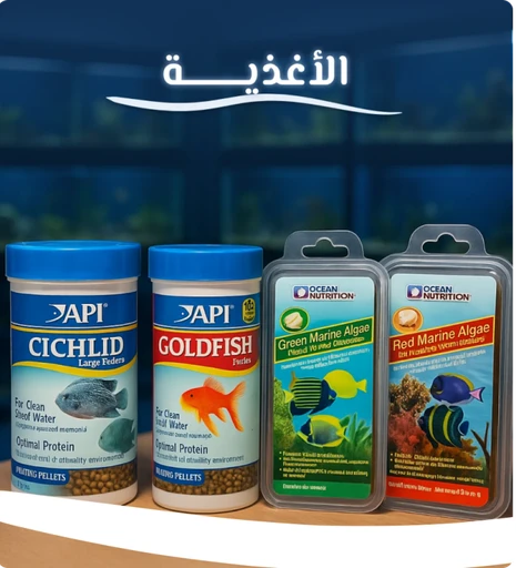 الأغذية