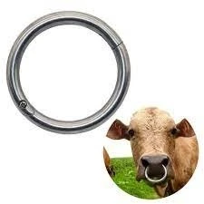 Promotion Bull Ring