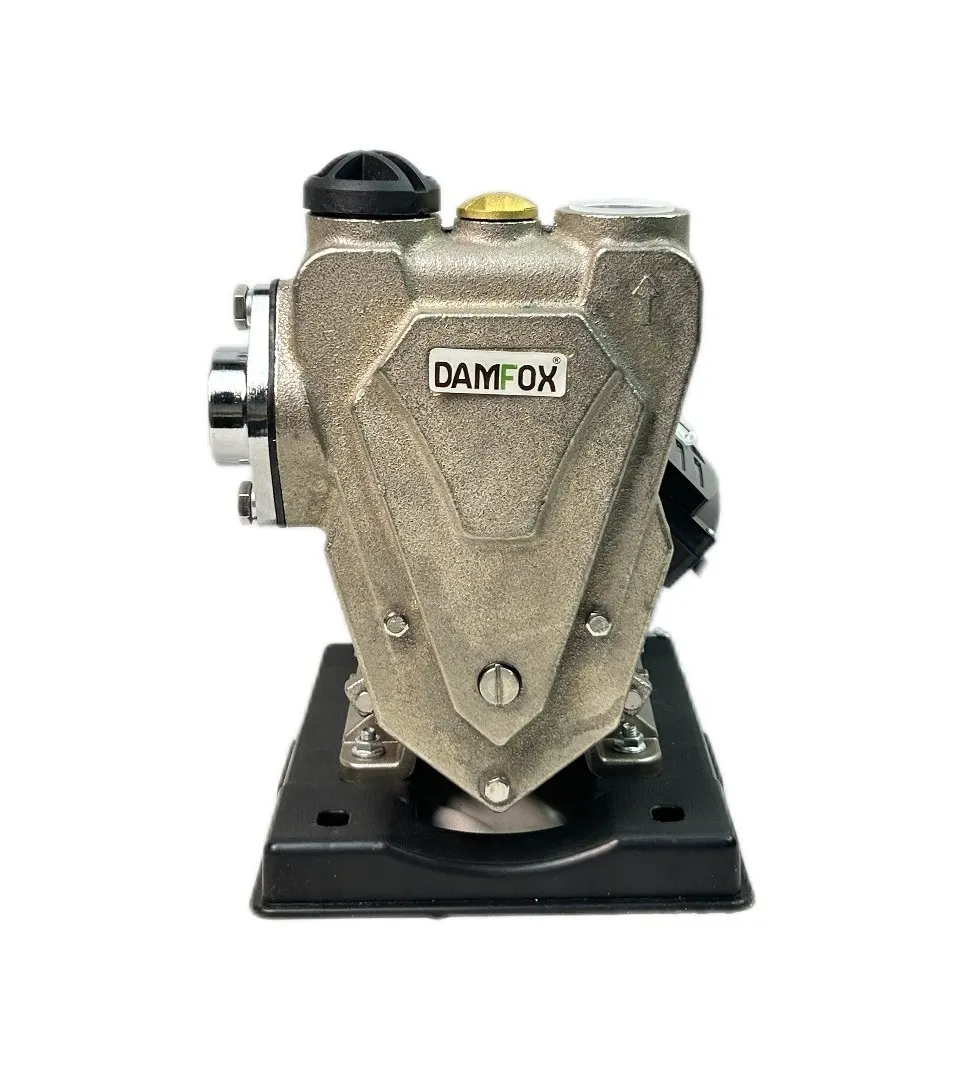 پەمپە ئاوی ئۆتۆماتیکی دامفۆکس