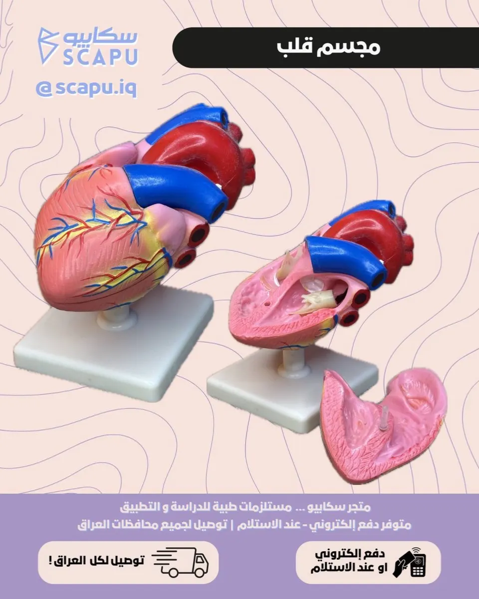 heart