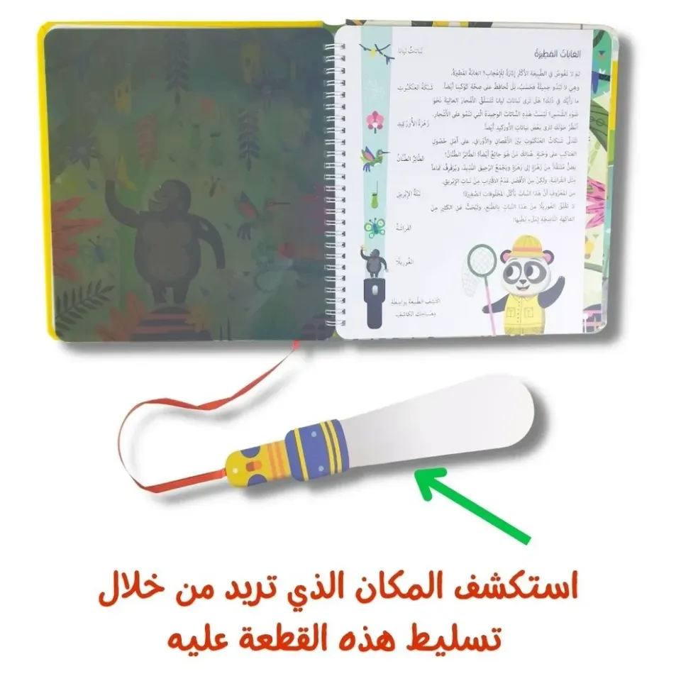 سلط الضوء واكتشف - الطبيعة