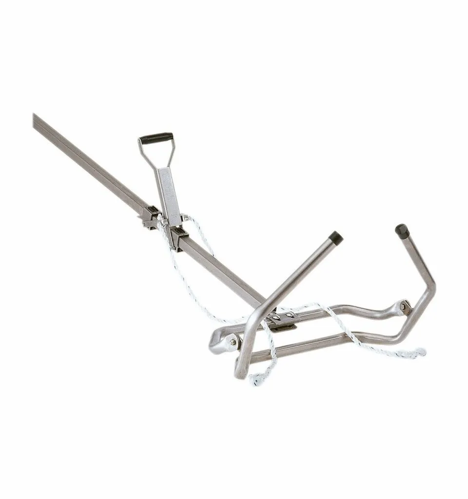 كريكو التوليد 