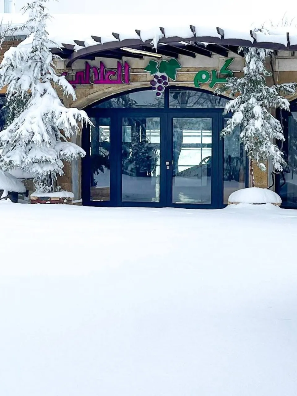 مطعم كرم العلالي