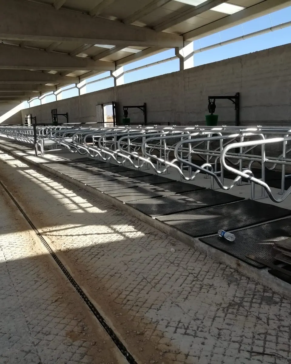 فرشات ابقار - أرضيات مطاطية للأبقار