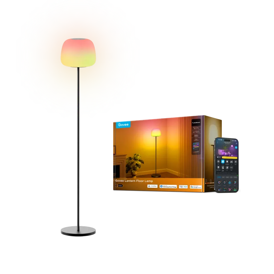 Govee Lanern Floor Lamp
