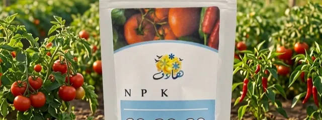 عروض خاصة
