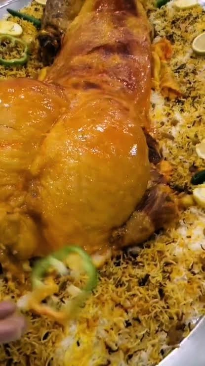 مفطح نعيمي بلدي جذع جبر