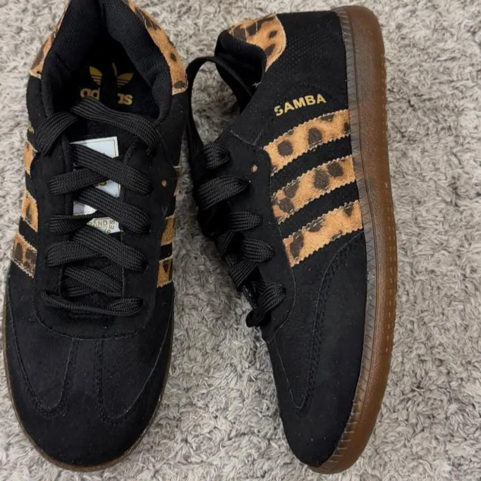 Samba ( leopard 🐆)