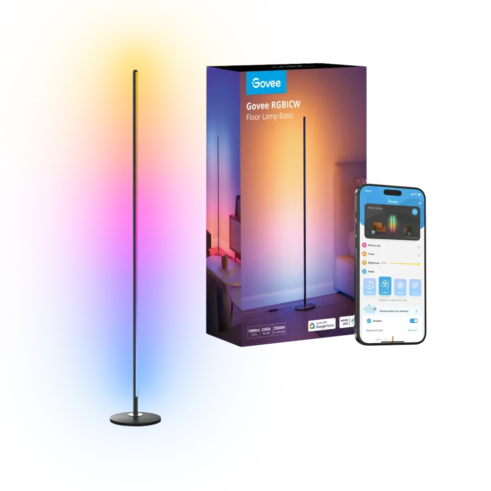 Govee Floor Lamp Basic