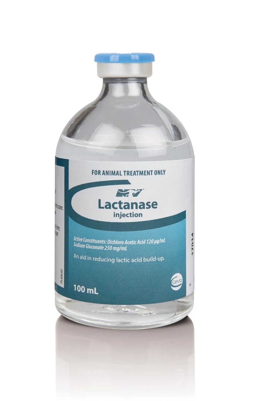 Lactanase 100ML