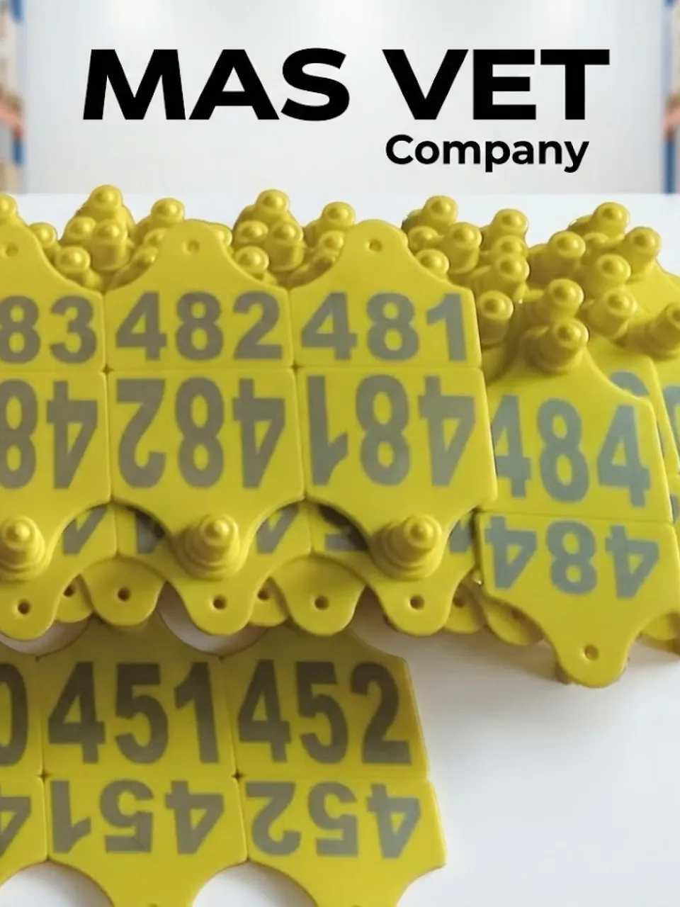 )animal ear tags - Larg animals (66mm x 56mm)