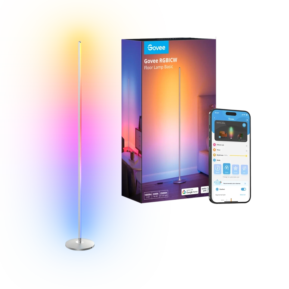 Govee Floor Lamp Basic